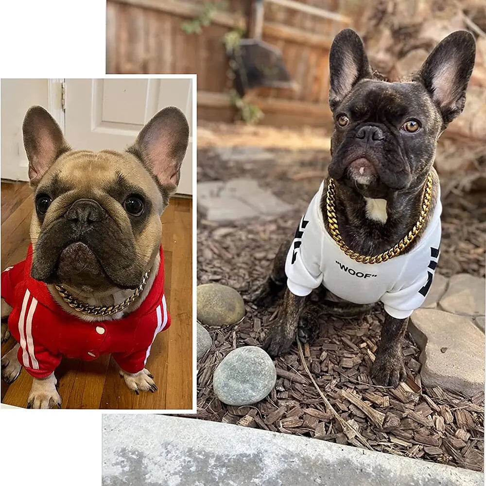 Collare per cani con catena a maglie - Oh My Dog!