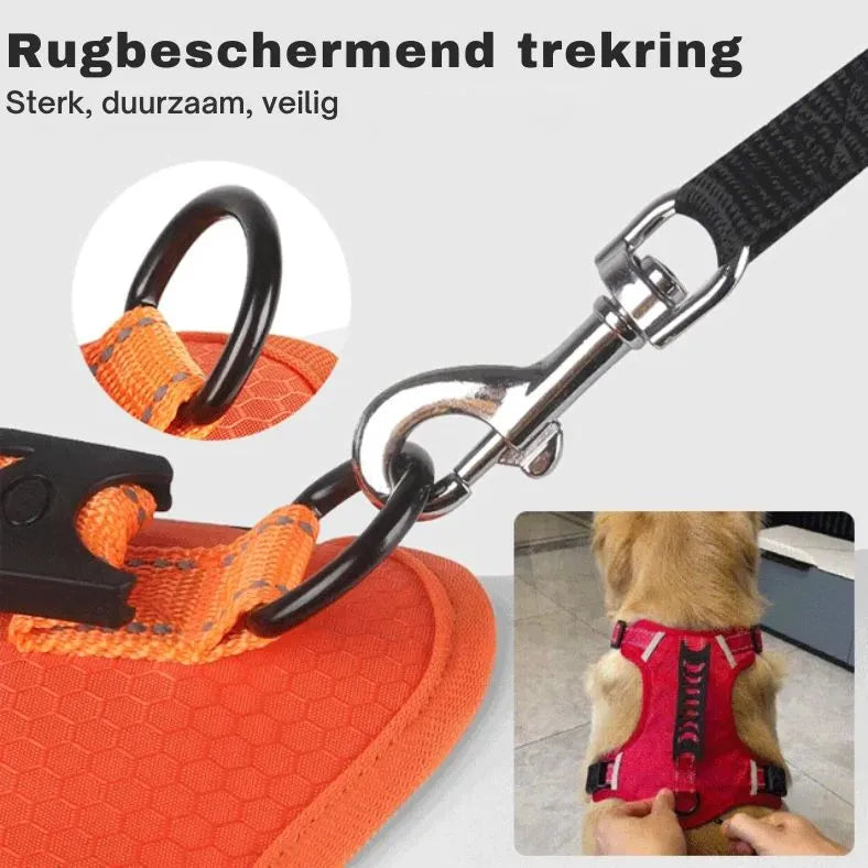 Pettorina Riflettente - Oh My Dog!