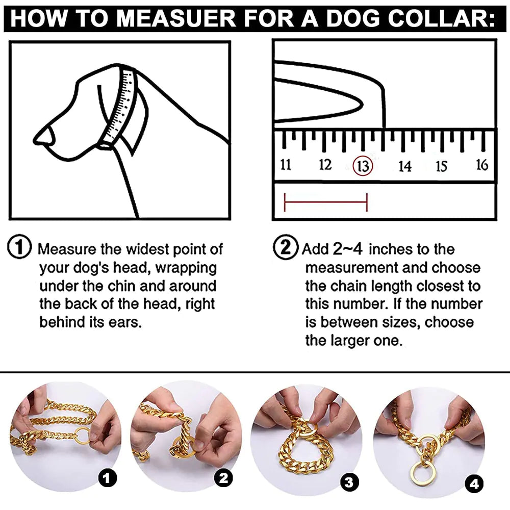 Collare per cani con catena a maglie - Oh My Dog!