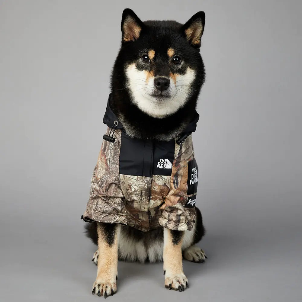 Cappotto " The Dog Face" - Oh My Dog!