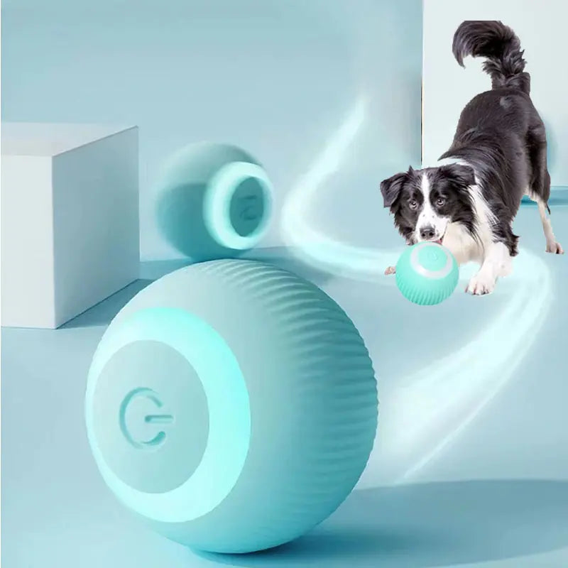 Giocattolo per cani con rotolamento automatico - Oh My Dog!