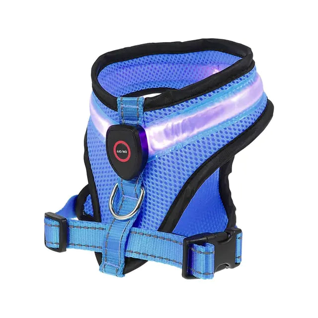 Pettorina per cani con luce a LED - Oh My Dog!