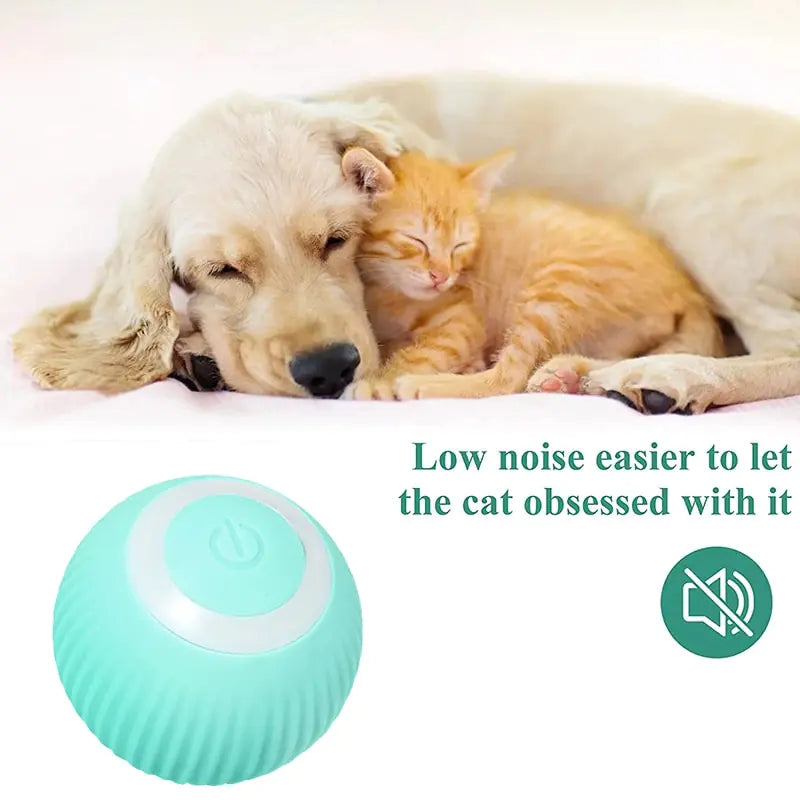 Giocattolo per cani con rotolamento automatico - Oh My Dog!