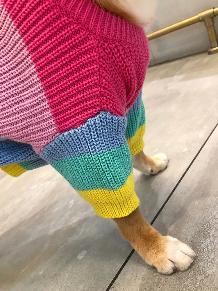 Maglione arcobaleno lavorato a maglia - Oh My Dog!