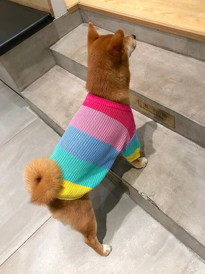 Maglione arcobaleno lavorato a maglia - Oh My Dog!