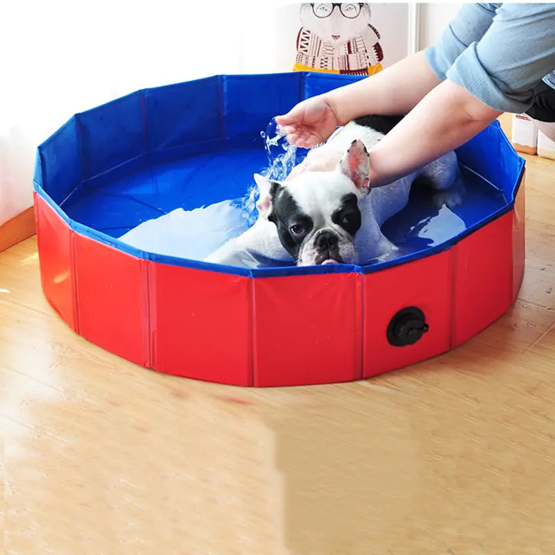 Piscina in PVC - Oh My Dog!