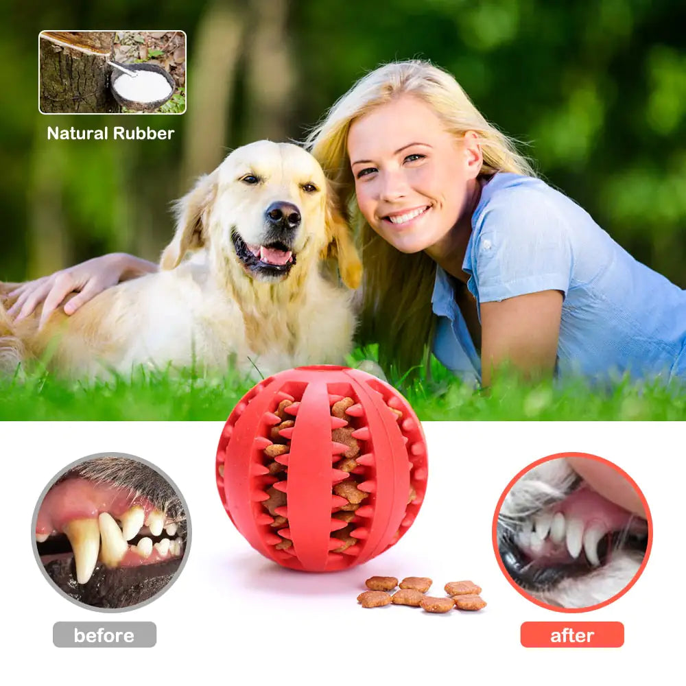 Interactive Pets Rubber Balls - Oh My Dog!