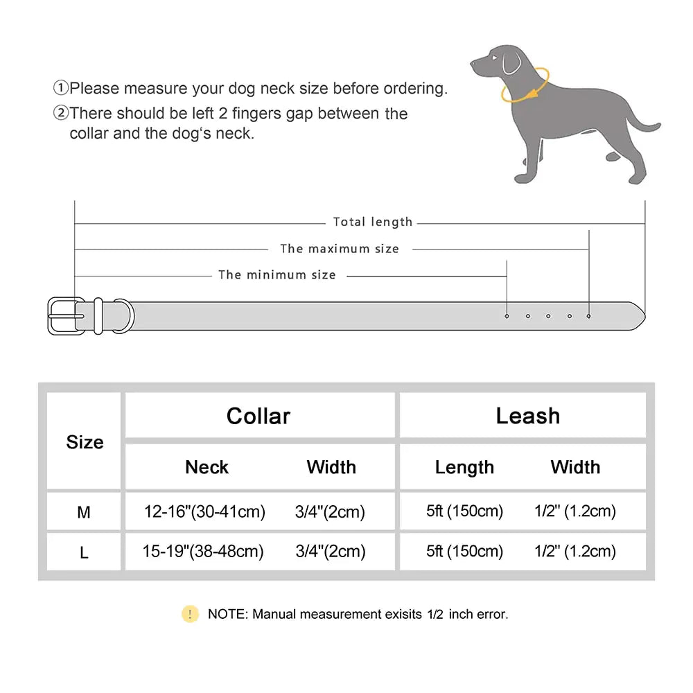 Set collare e guinzaglio - Oh My Dog!