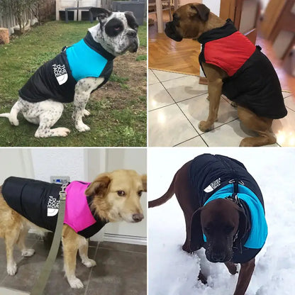 Gilet invernale impermeabile per cani "Arctic Paws" - Oh My Dog!