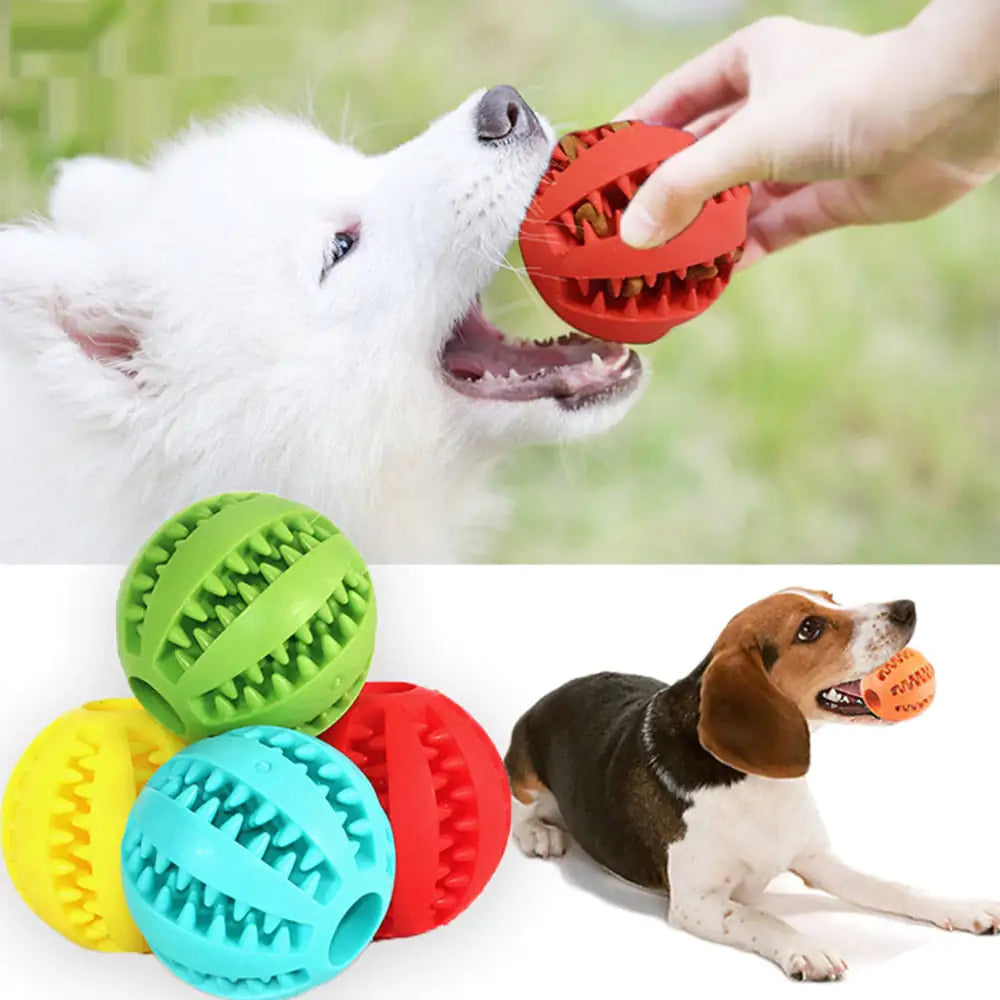 Interactive Pets Rubber Balls - Oh My Dog!