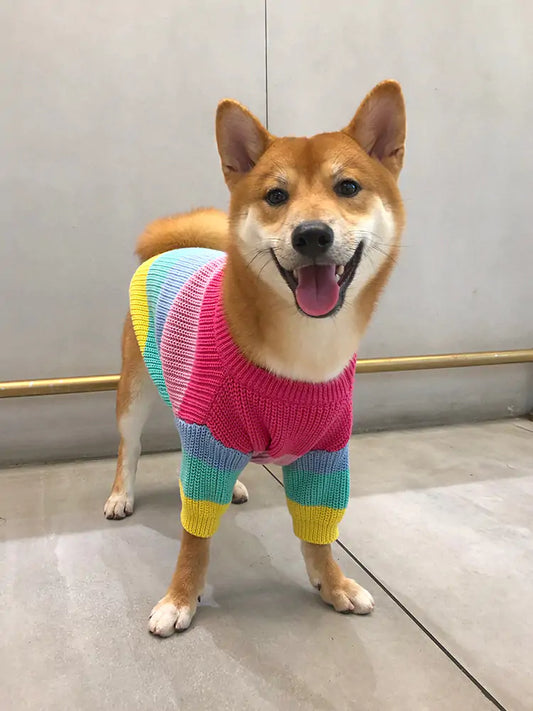 Maglione arcobaleno lavorato a maglia - Oh My Dog!