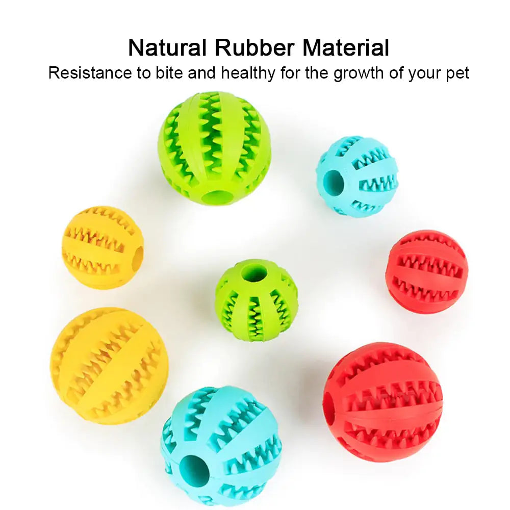 Interactive Pets Rubber Balls - Oh My Dog!